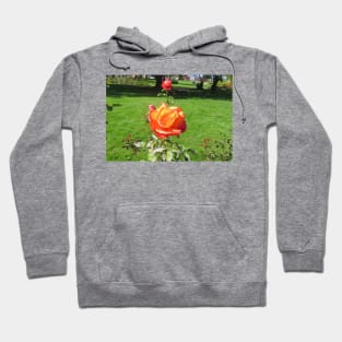 Orange Rose Hoodie